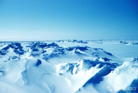 Arktida je celoročně obklopena sněhem, autor: periskope