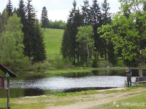 Beřichovský rybník, autor: Honza Groh