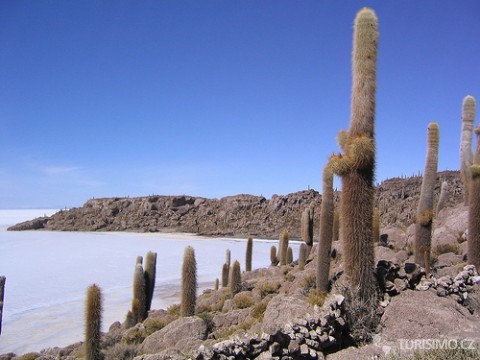 Altiplano, autor: Phillie Casablanca