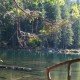 Černé jezero, jeden z pokladů Šumavy