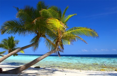 Bahamy jsou rájem na zemi, autor: orbion