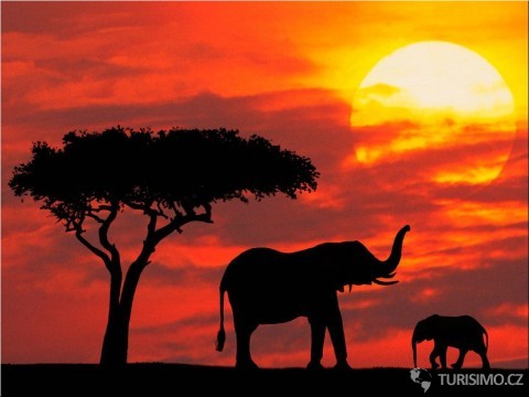 V Keni je jedinečná příroda a spousta zvířat, autor: melanbdrus22