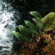 Rešovské vodopády – jedinečná podívaná v srdci Jeseníků 