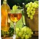 Vinné sklepy – ochutnejte odrůdy nejkvalitnějších moravských vín