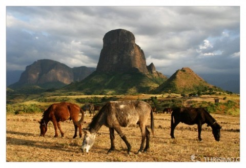 Etiopie se pyšní překrásnou přírodou a zvěrstvem, autor: turam masanni