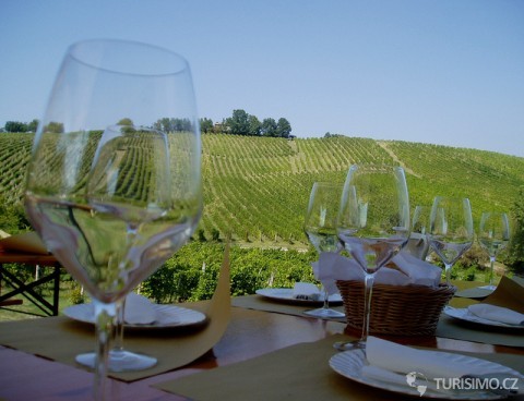 Co by to bylo za návštěvu Moravy bez ochutnávky vína, autor: Udo Schroter