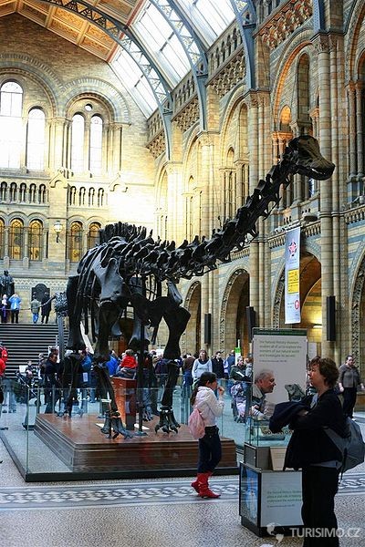 Autor: Natural_History_Museum_interior