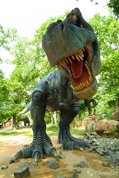 Autor: DinoTeam