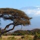 Východní Afrika ukrývá cestovatelský poklad