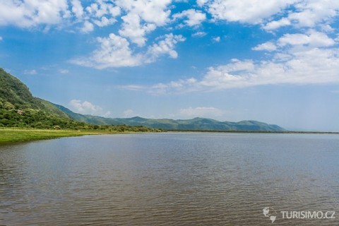 Manyara je jezero, kam se zvířata chodí napít