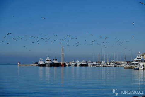 Zadar