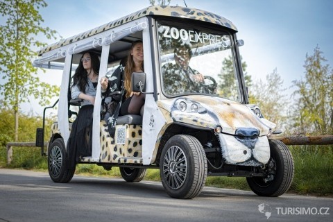 Večerní Zooexpress v květnu, foto: eventland.eu