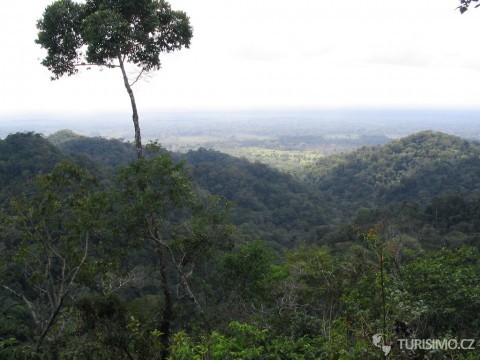 Amazonský prales, autor: Warren H