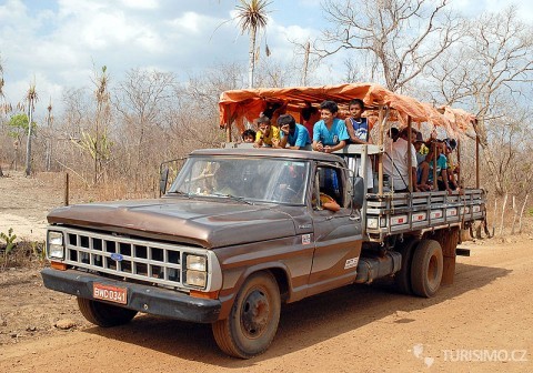 Autobus, autor: Valter Campanato/Abr