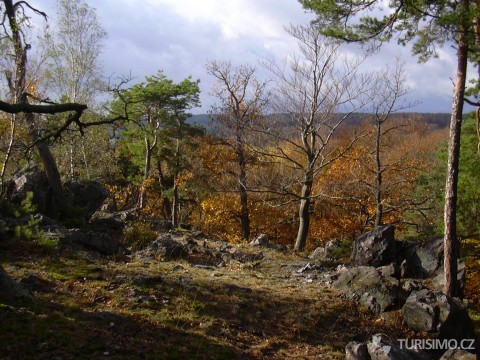 Lesy v jižní části CHKO Křivoklátsko, autor: Jiří Kadlec