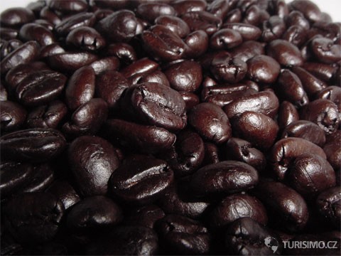 Káva, autor: nate steiner