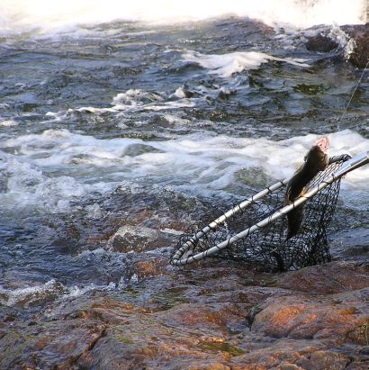 Rybolov v Norsku
