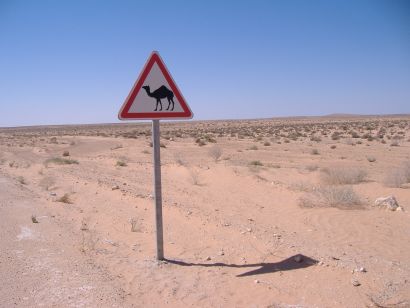 Djerba